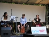 Tři kříže fest 2015 - ID144